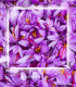 Saffron honey