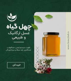 Multi Floral Honey