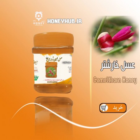 Camelthorn honey