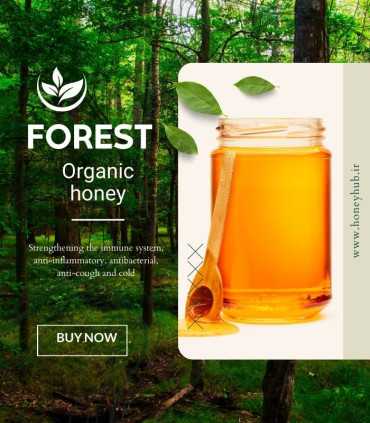 jungle honey