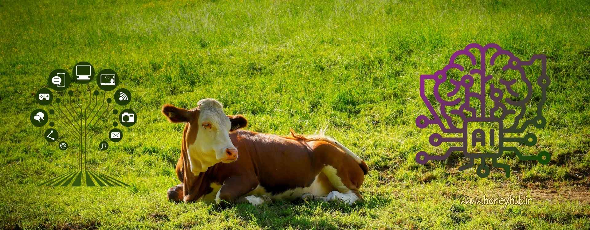 مقایسه نرمافزارهای هوش مصنوعی گاوداری