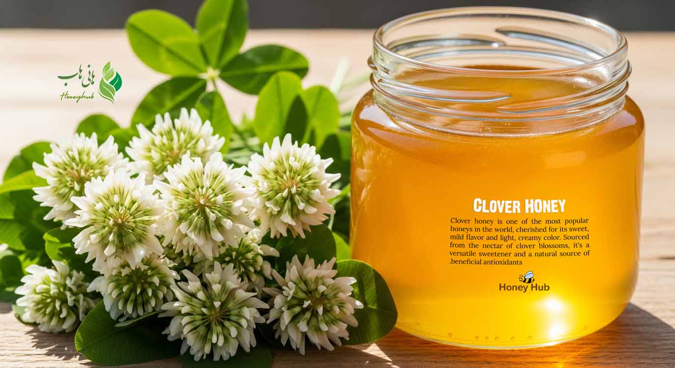 یک شیشه عسل شبدر روشن در کنار گل‌های سفید شبدر روی یک میز چوبی