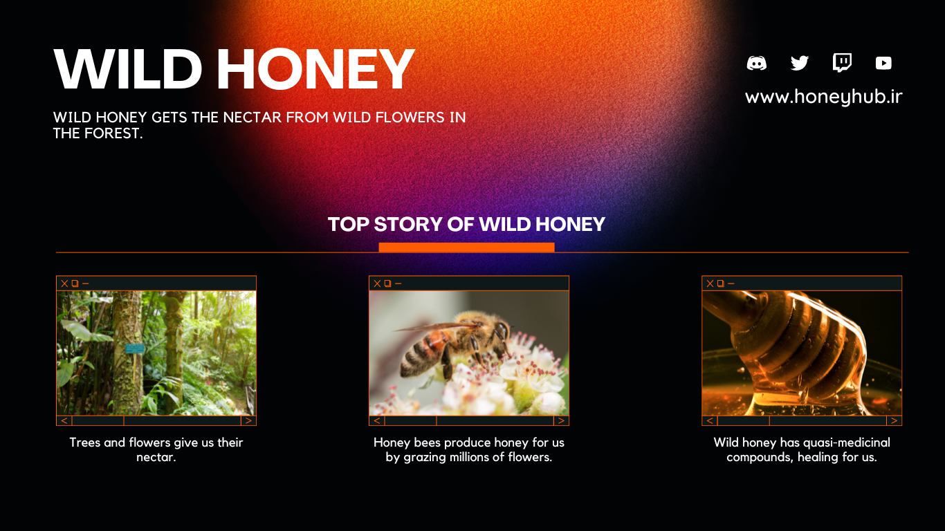 Pure Mountain Wild Honey A close-up shot of raw, amber-colored wild honey in a glass jar, with a wooden honey dipper.