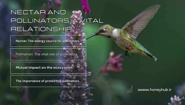 Nectar and Pollinators: Hummingbirds and the Vital Role of Nectar in the Ecosystem An infographic titled "Nectar and Pollinators: A Vital Relationship" features an image of a hummingbird drinking nectar from a flower. The image also includes charts and icons related to pollination and the ecosystem.