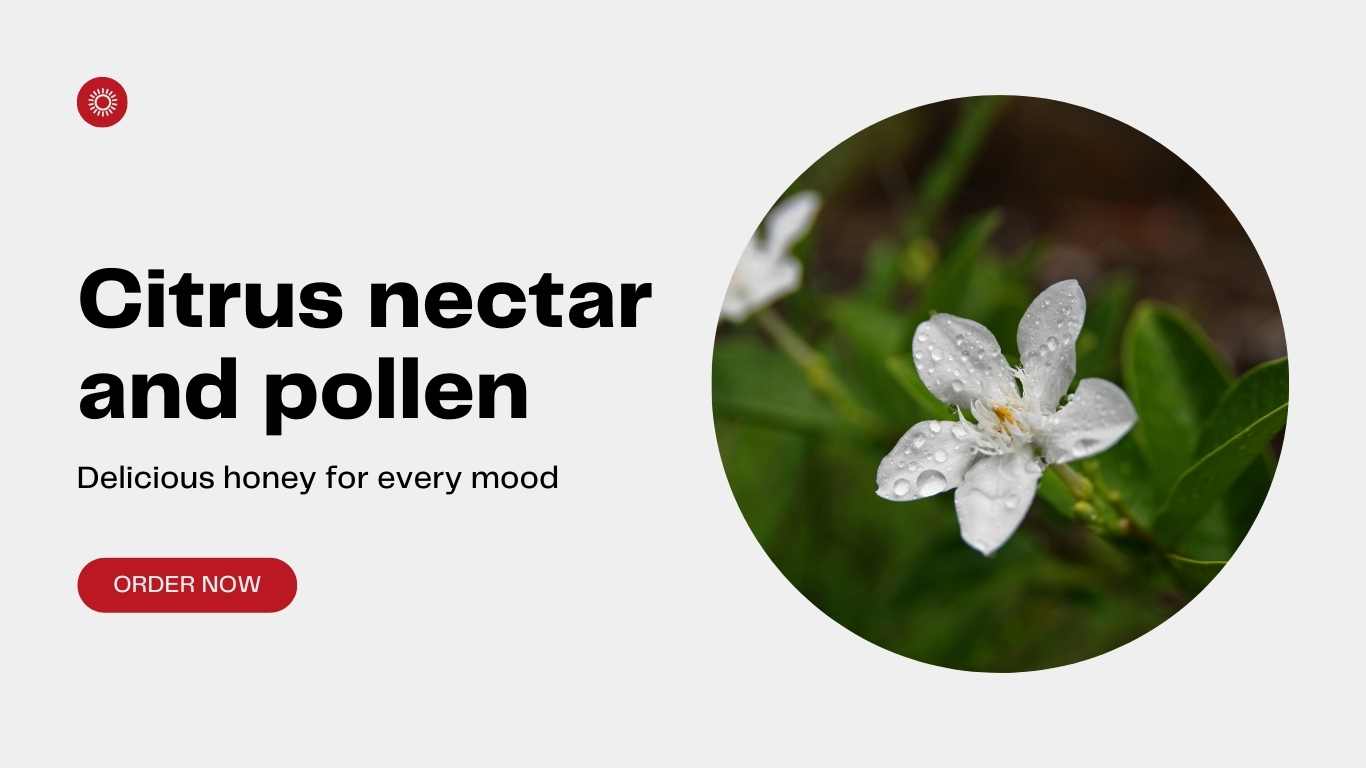 citrus flower nectar and pollen used for honey production