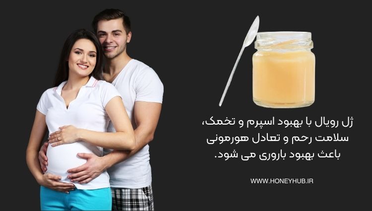 اثر ژل رویال بر باروری بهبود باروری با بهبود اسپرم و تخمک و لانه گزینی