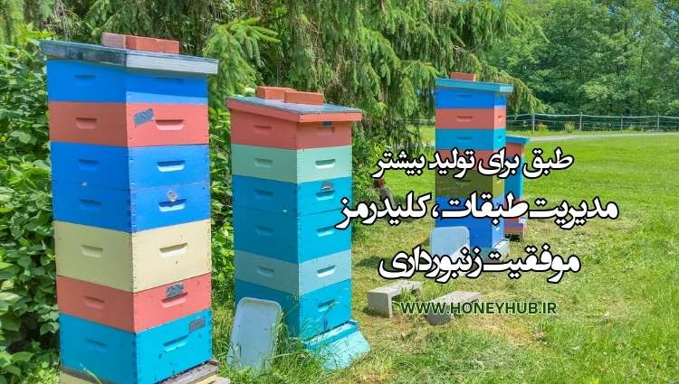 طبق دادن به کندوی زنبور عسل پرورش زنبور عسل در طبقات باعث بهبود و افزایش تولید عسل می شود.