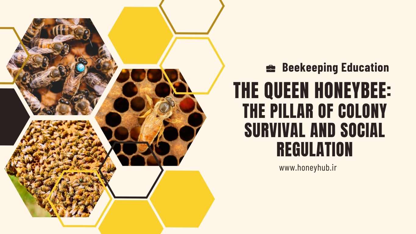 The Role of the Queen Bee in the Hive The queen bee serves as the cornerstone of colony survival and regulates the hive's social behaviors.