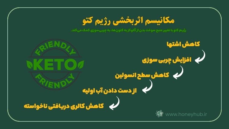 Weight Loss with the Keto Diet Fat Burning Mechanism in the Ketogenic Diet
