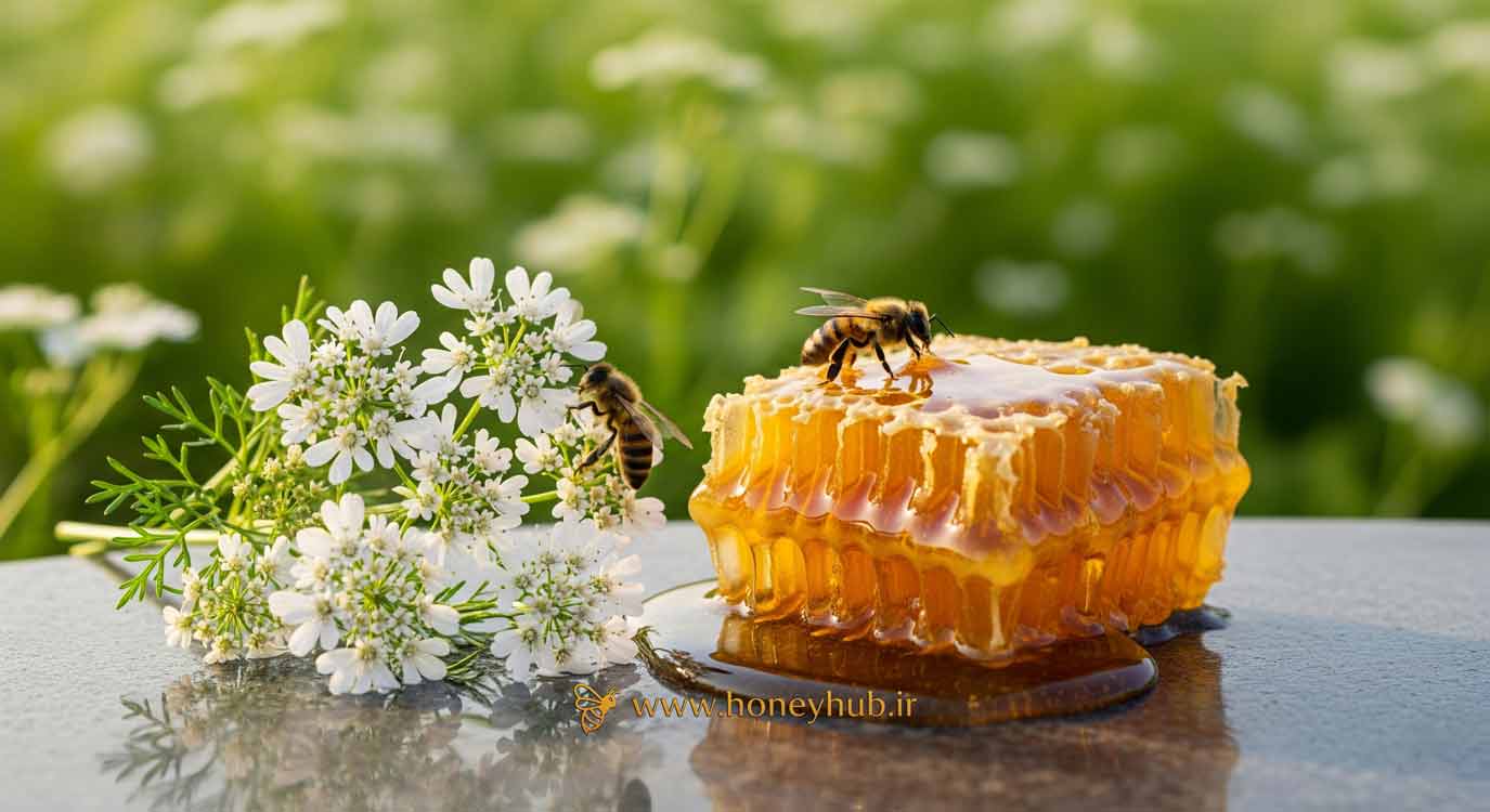 عسل گشنیز خام و طبیعی از منطقه نهاوند