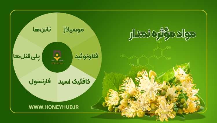 Infographic: Active ingredients of Tilia leaves. The active ingredients of Tilia leaves include mucilage, tannins, flavonoids, caffeic acid, farnesol, and more.