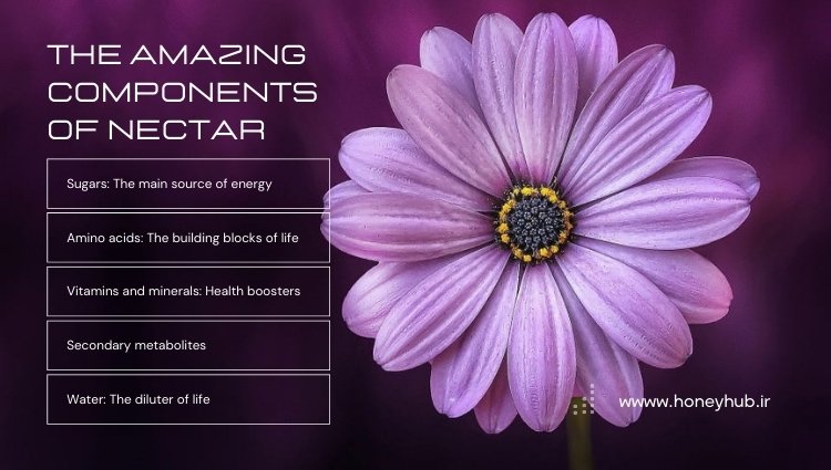 Amazing Nectar Compounds: A Journey into the Sweet World of Flowers The infographic image illustrates the components of nectar.