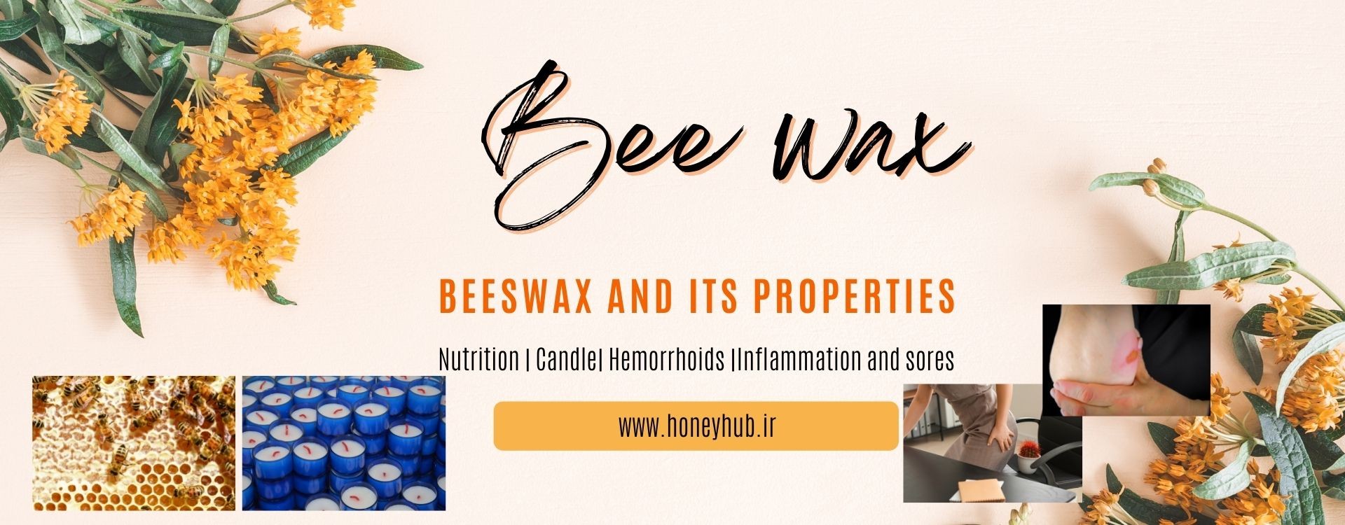 موم زنبور عسل: کاربردها، خواص و مزایا