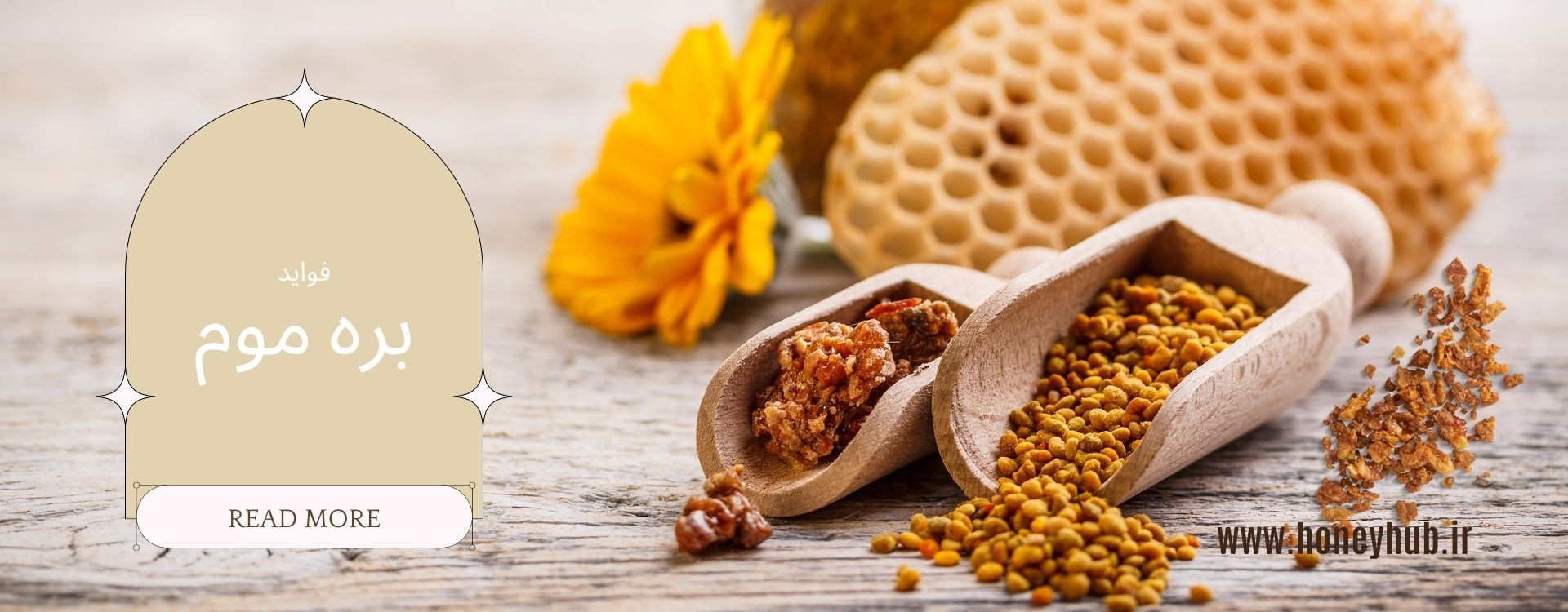 The Health Effects of Propolis and Its Uses