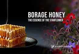 The Ultimate Guide to Borage (Starflower) Honey: From Plant to Jar