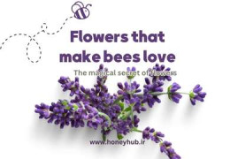 Пчелы и цветы: любовная история, которая делает жизнь возможной