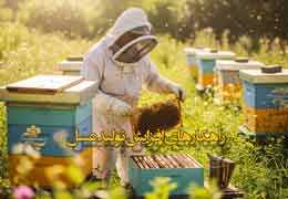 Maximizing Honey Production: The Complete Guide to Professional Beekeeping
