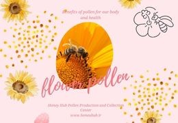 10 Ways to Consume Bee Pollen