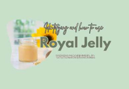 Benefits of Royal Jelly for Health and How to Consume It
