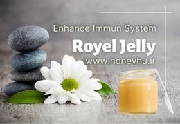 Royal jelly: Properties, benefits and side effects
