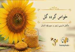 Sunflower Bee Pollen: Medicinal Benefits for Bees and Human Health