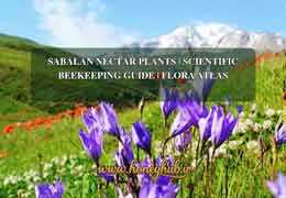 Comprehensive Atlas of Nectar Plants for Beekeeping in Sabalan Region - Scientific Guide for Beekeepers