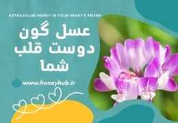 Astragalus Honey: The Delicious Way to Improve Heart Health