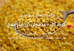 گرده گل در بدن ما چگونه عمل می‌کند؟ مکانیسم عمل