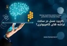چگونه عسل آینده تراشه های کامپیوتری را می سازد؟ | راهنمای جامع