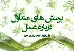 همه چیزی که باید درباره عسل بدانید