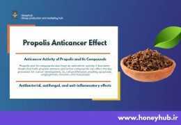 Propolis and Cancer: Nature's Secret Weapon in Integrative Oncology