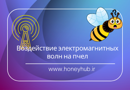 Воздействие электромагнитных волн на медоносных пчел