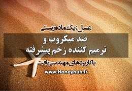 عسل یک ماده زیستی ارزشمند ضد میکروب و درمانگر زخم