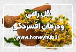 St. John's Wort: Nature's Miracle for Depression and 40 Other Amazing Benefits