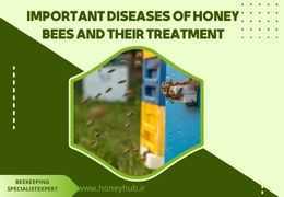 Important Diseases of Honey Bees and Their Treatment