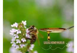 عسل آویشن، خواص، فواید، ترکیبات