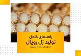 راهنمای جامع تولید ژل رویال: از پیوند لارو تا برداشت مکانیزه