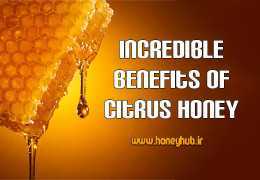 Amazing Benefits of Citrus Honey: From Boosting Immunity to Skin and Digestive Health