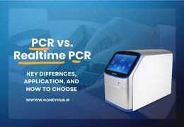PCR vs. Real-Time PCR: Key Differences, Applications and How to Choose