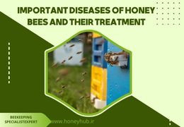 Основные болезни пчел и способы их профилактики и лечения