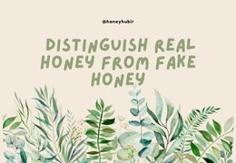 How to Tell the Difference Between Natural and Fake Honey