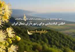 گیاهان شهدخیز شمال ایران