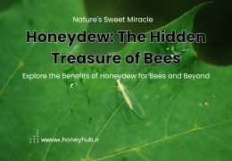 Honeydew: A Natural Food Source for Bees and Its Amazing Properties