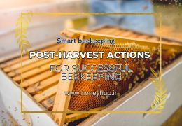 اقدامات بعد از برداشت عسل: کلید موفقیت زنبورداری