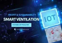 Smart Poultry Ventilation: Expert Guide to Cutting-Edge Tech
