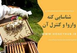 شناسایی کامل واروآ و معاینه زنبور عسل