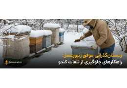 Successful Honeybee Wintering: 15 Scientific Strategies to Prevent Hive Loss in Cold Season